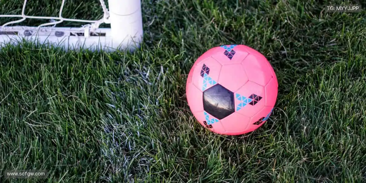 🏆汗水铸就辉煌，赛场书写传奇！💦